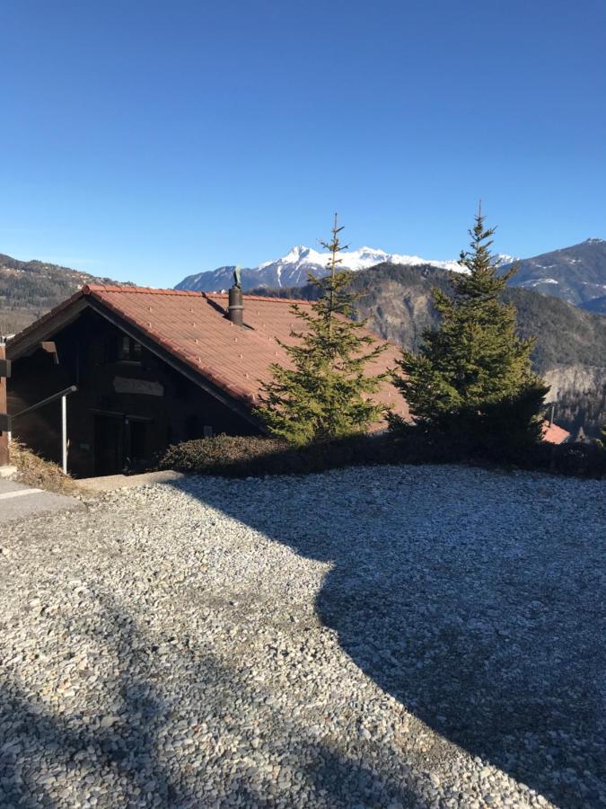 Chalet Siesta Ayent Buitenkant foto
